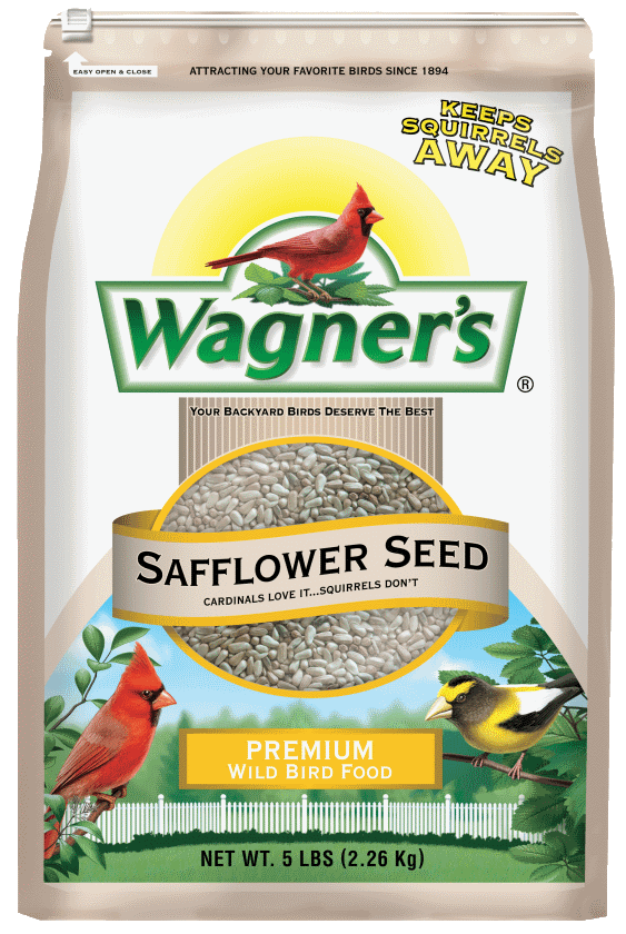 Safflower-Seed